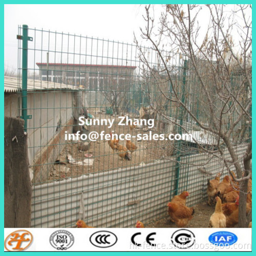 Electric fencing net /Welded wire mesh fencing for poultry
